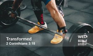 Read more about the article Transformed (2 Cor 3:18) – Series