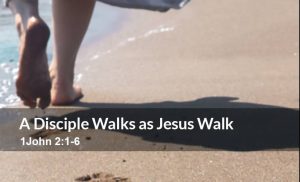 Read more about the article A Disciple Walks as Jesus Walk (1 John 2:1-6)