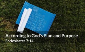 Read more about the article According to God’s Plan and Purpose (Ecc 7:14)