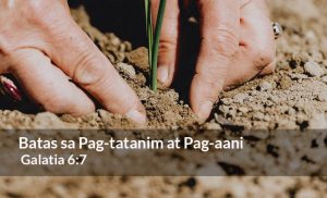 Read more about the article Batas sa Pagtatanim at Pag-aani (Galatia 6:7)