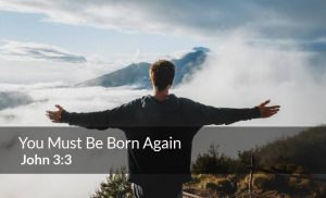 Read more about the article Ye Must be Born Again (John 3:1-7)
