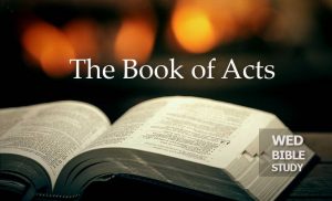 Read more about the article The Book of Acts (Series)