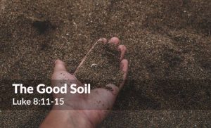 Read more about the article The Good Soil (Luke 8:11-15)