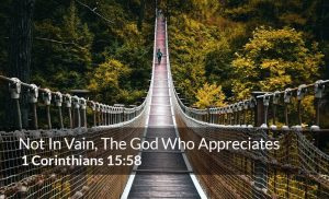 Read more about the article Not In Vain, The God Who Appreciates-1 Corinthians 15:58