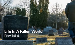 Read more about the article Life In A Fallen World (Prov 3:5-6)
