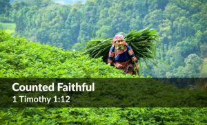 Read more about the article Counted Faithful (1 Timothy 1:12)