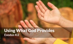 Read more about the article Using What God Provides (Exodus 4:2)