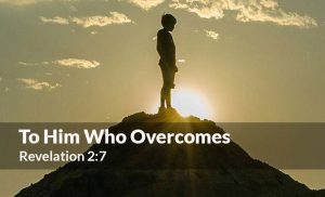 Read more about the article To Him Who Overcomes (Revelation 2:7)