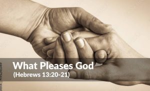 Read more about the article What Pleases God (Hebrews 13:20-21)