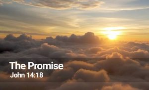 Read more about the article The Promise (John 14:18)