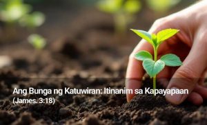 Read more about the article Ang Bunga ng Katuwiran: Itinanim sa Kapayapaan (James. 3:18)