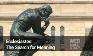 Read more about the article Ecclesiastes: The Search for Meaning (Series)