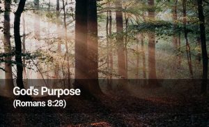 Read more about the article God’s Purpose (Romans 8:28)