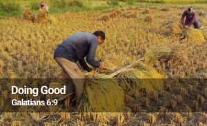 Read more about the article Doing Good (Galatians 6:9)
