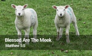 Read more about the article Blessed are the Meek (Matthew 5:5)
