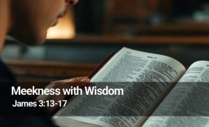 Read more about the article Meekness with Wisdom (James 3:13-17)