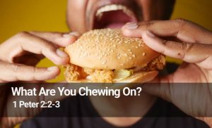 Read more about the article What Are You Chewing On? (1 Peter 2:2-3)