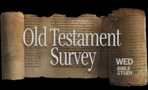 Read more about the article Old Testament Survey
